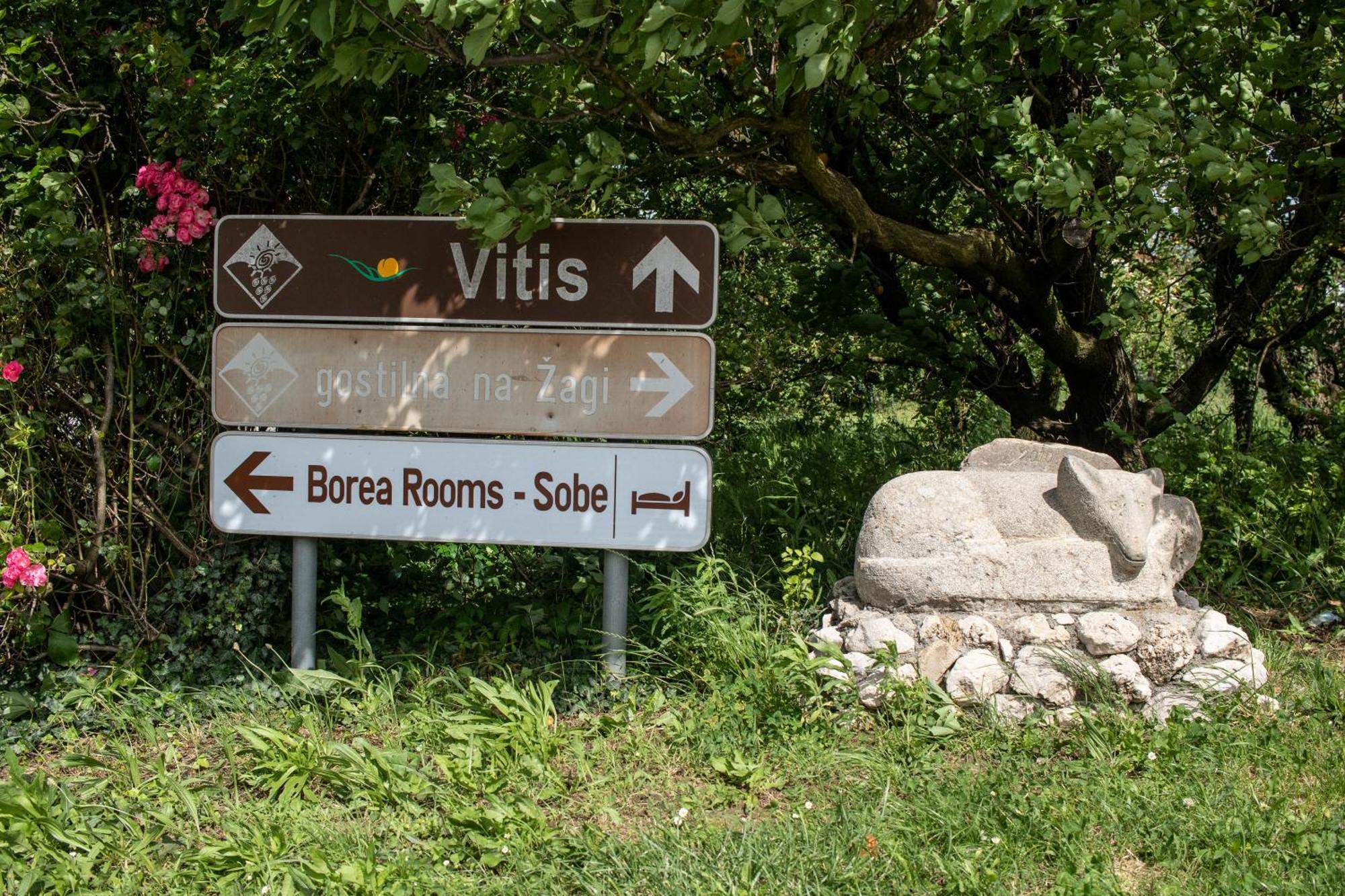 Borea Rooms - Sobe Budanje วิพาวา ภายนอก รูปภาพ