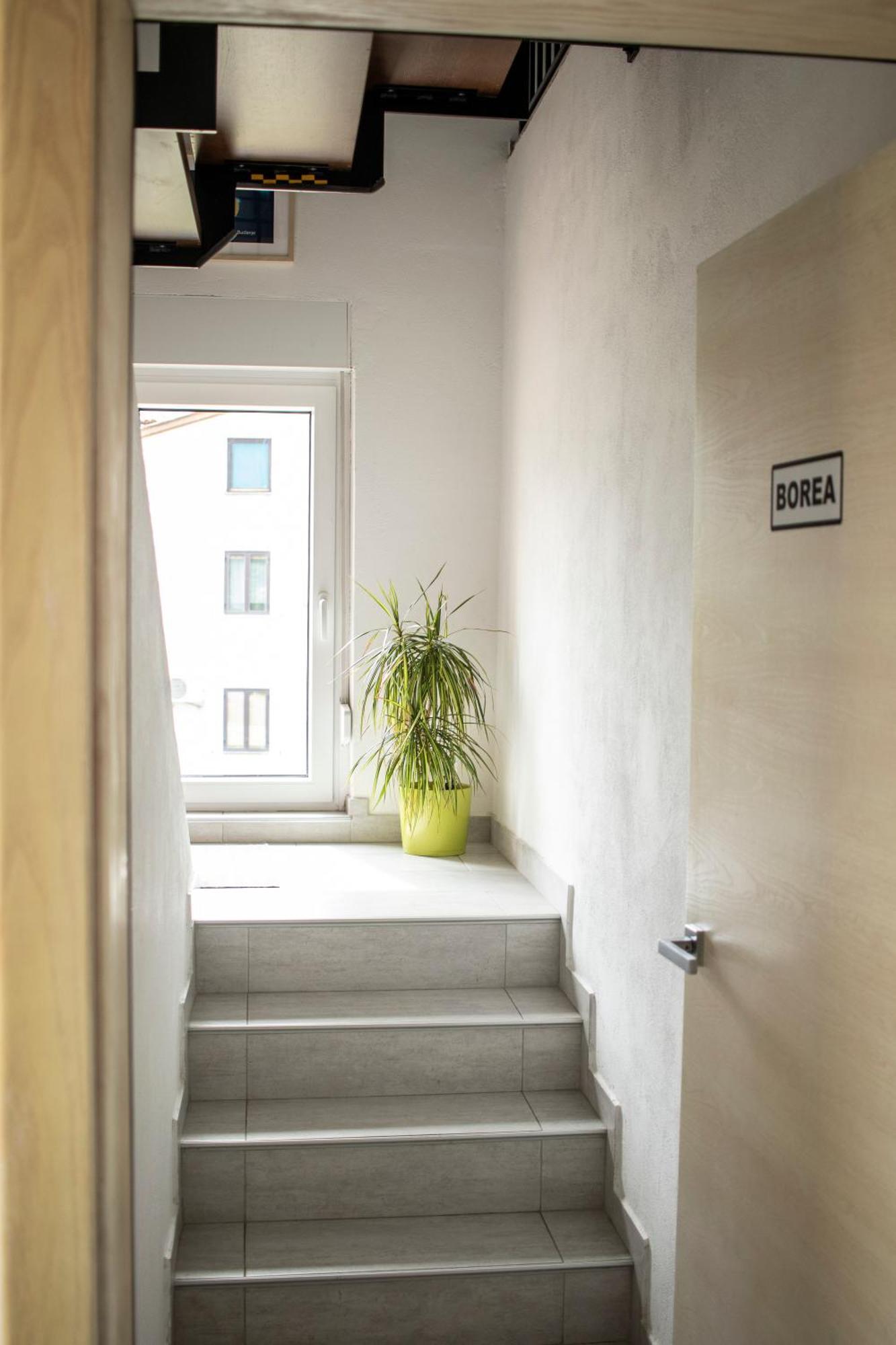 Borea Rooms - Sobe Budanje วิพาวา ภายนอก รูปภาพ